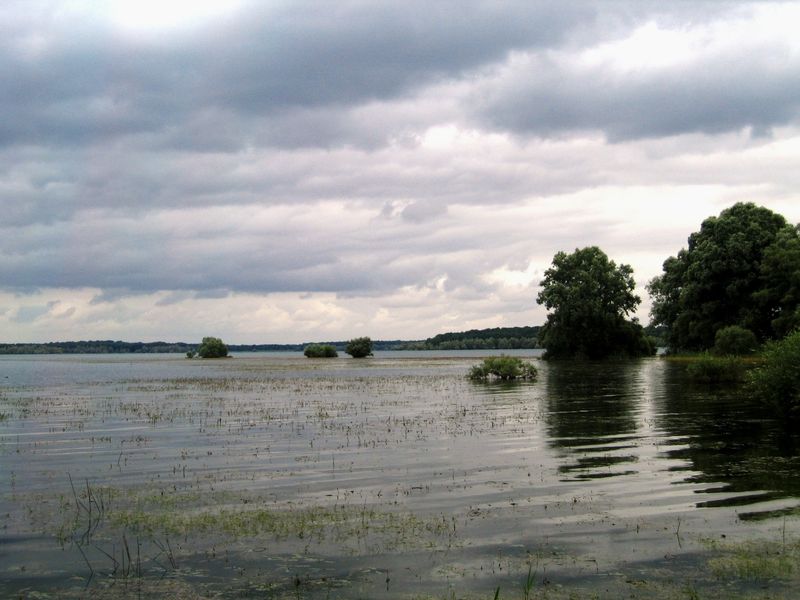 Lac d'Orient, Parc naturel régional de la Forêt d'Orient, Aube